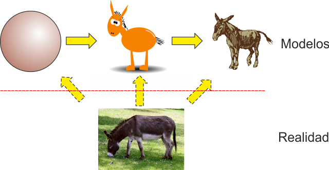 Archivo:modelos-burro.png