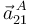 \vec{a}^{\,A}_{21} 