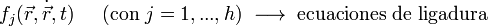 \displaystyle f_j(\vec{r},\dot{\vec{r}},t)\;\;\;\;\;
(\mbox{con}\; j=1,...,h)\;\longrightarrow\; \mbox{ecuaciones de ligadura}