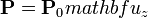 \mathbf{P}=\mathbf{P}_0ºmathbf{u}_z