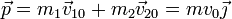 \vec{p}=m_1\vec{v}_{10} + m_2\vec{v}_{20} = mv_0\vec{\jmath}