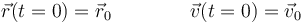 \vec{r}(t=0)=\vec{r}_0\qquad\qquad \vec{v}(t=0) = \vec{v}_0