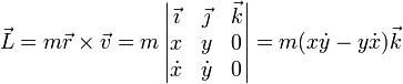 \vec{L}=m\vec{r}\times\vec{v} = m\left|\begin{matrix}\vec{\imath} & \vec{\jmath} &
\vec{k} \\ x & y & 0 \\ \dot{x} & \dot{y} & 0\end{matrix}\right| =
m(x\dot{y}-y\dot{x})\vec{k}