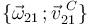 \{\vec{\omega}_{21}\,; \vec{v}^{\,\, C}_{21}\}\,