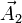 \vec{A}_2