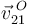 \vec{v}^{\,\, O}_{21}\,