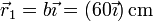 \vec{r}_1 = b\vec{\imath}=(60\vec{\imath})\,\mathrm{cm}