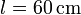 l= 60\,\mathrm{cm}
