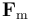 \mathbf{F}_\mathrm{m}