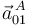 \vec{a}^{\, A}_{01}\,