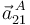 \vec{a}^{\, A}_{21}\,