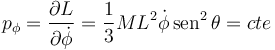 
p_{\phi} = \dfrac{\partial L}{\partial\dot{\phi}} = \dfrac{1}{3}ML^2\dot{\phi}\,\mathrm{sen}^2\,\theta = cte
