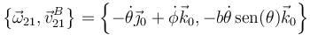 \left\{\vec{\omega}_{21},\vec{v}^B_{21}\right\}=\left\{-\dot{\theta}\vec{\jmath}_0+\dot{\phi}\vec{k}_0,-b\dot{\theta}\,\mathrm{sen}(\theta)\vec{k}_0\right\}