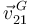 \vec{v}^{\,G}_{21}