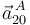 \vec{a}^{\, A}_{20}\,