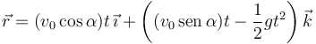 \vec{r}=(v_0\cos\alpha)t\,\vec{\imath}+\left((v_0\,\mathrm{sen}\,\alpha)t-\frac{1}{2}gt^2\right)\vec{k}