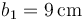 b_1=9\,\mathrm{cm}