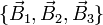 \{\vec{B}_1,\vec{B}_2,\vec{B}_3\}